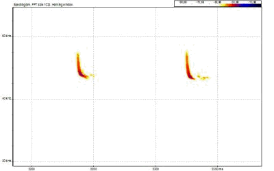 Spettrogramma di un segnale di ecolocalizzazione di pipistrello nano Pipistrellus pipistrellus registrato a Crampiolo (Alpe Devero) il 12 agosto 2003